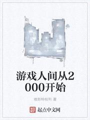 游戏人间从2000开始封面